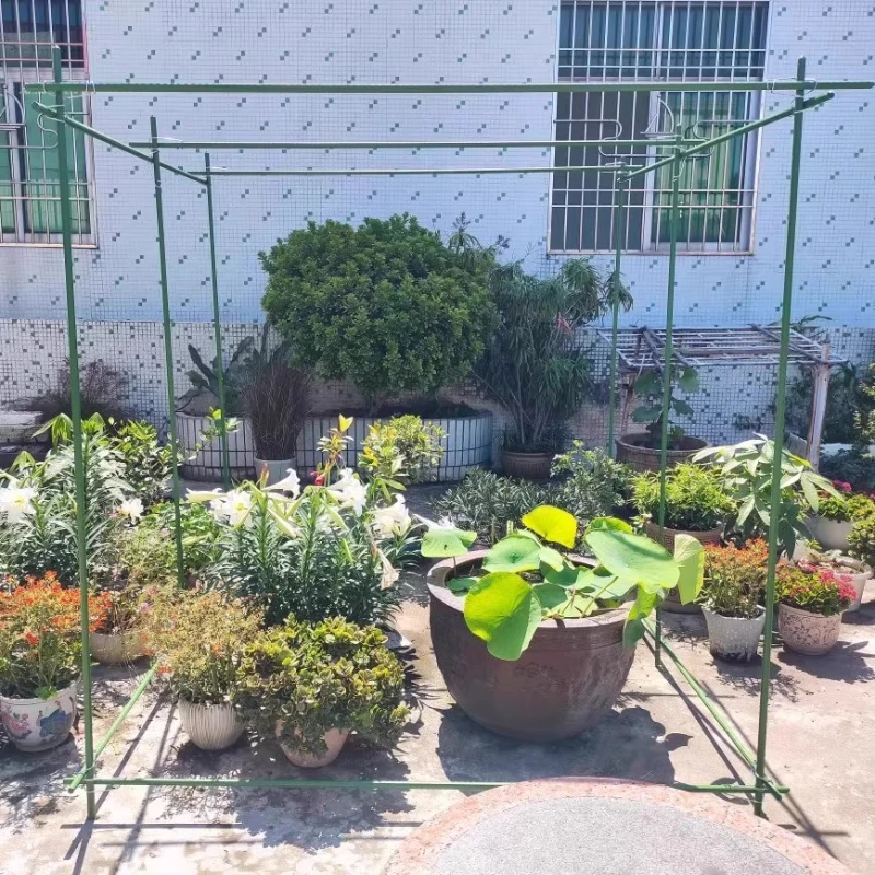 

Melon passion fruit rack for growing vegetables and plants Melon shed rack support rod
