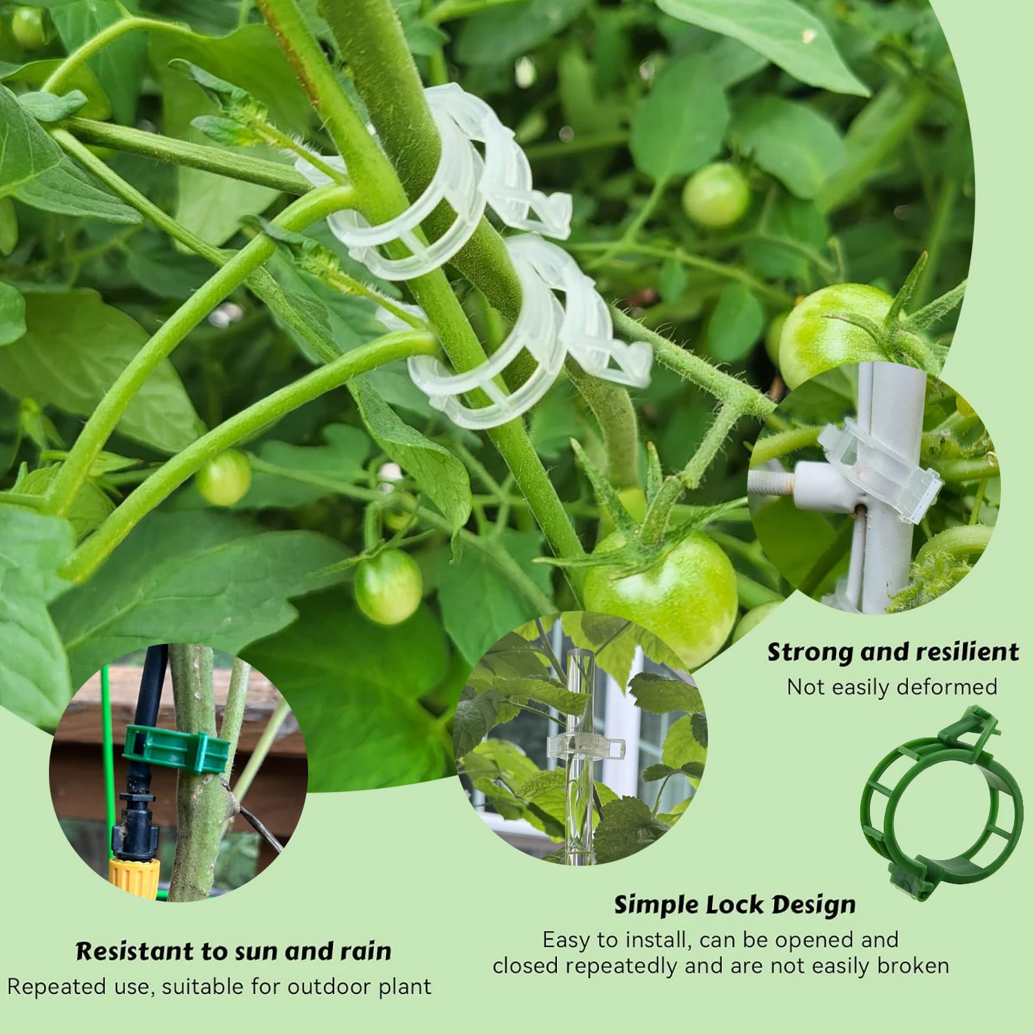 

10/20/50/100 pcs plant clips support reusable plastic connection fixing vine clips tomato shoot grafting vegetable plant tools