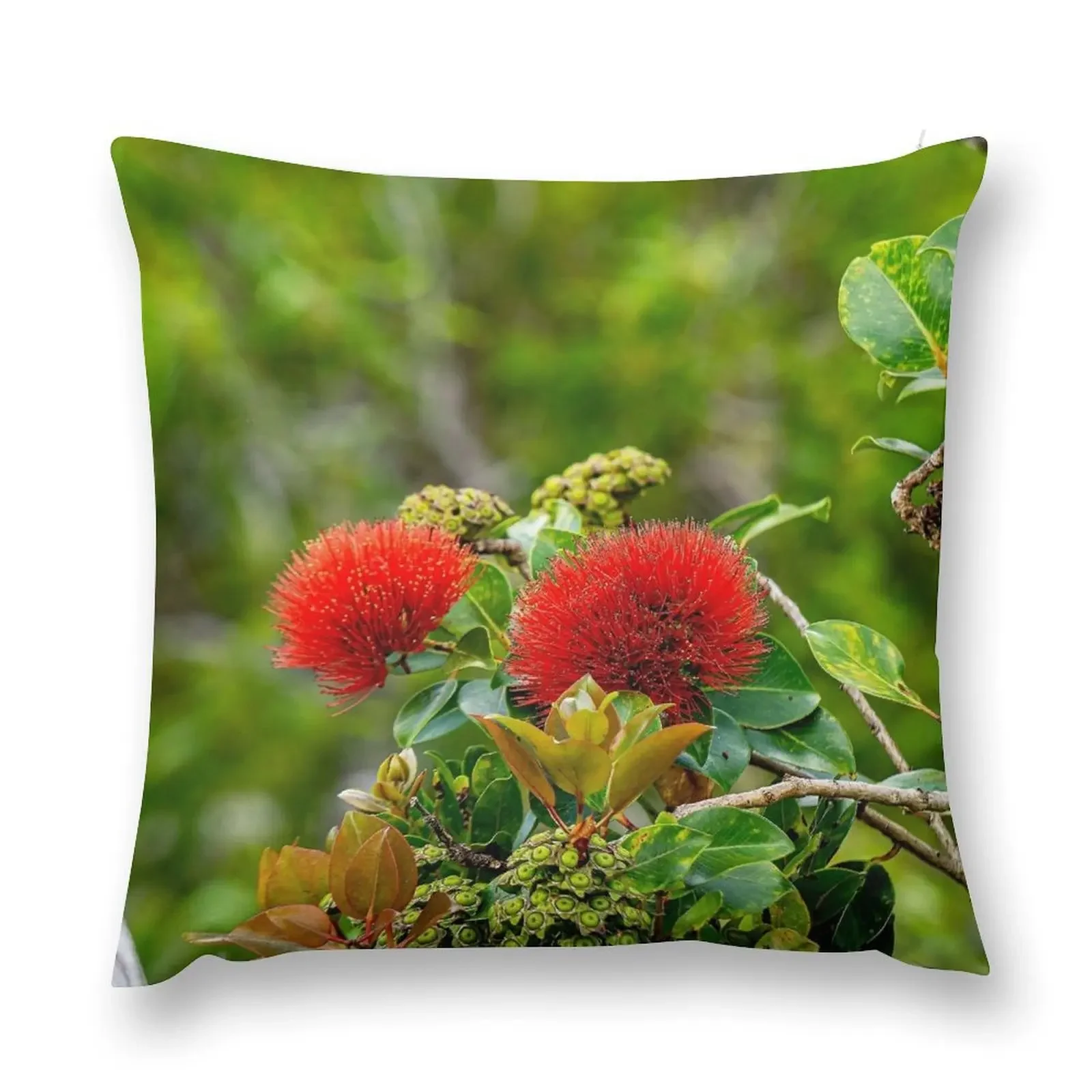 Lehua Twice Throw Pillow Pillow Case Cushion Cover For Sofa Cushions Cover Sitting Cushion pillow