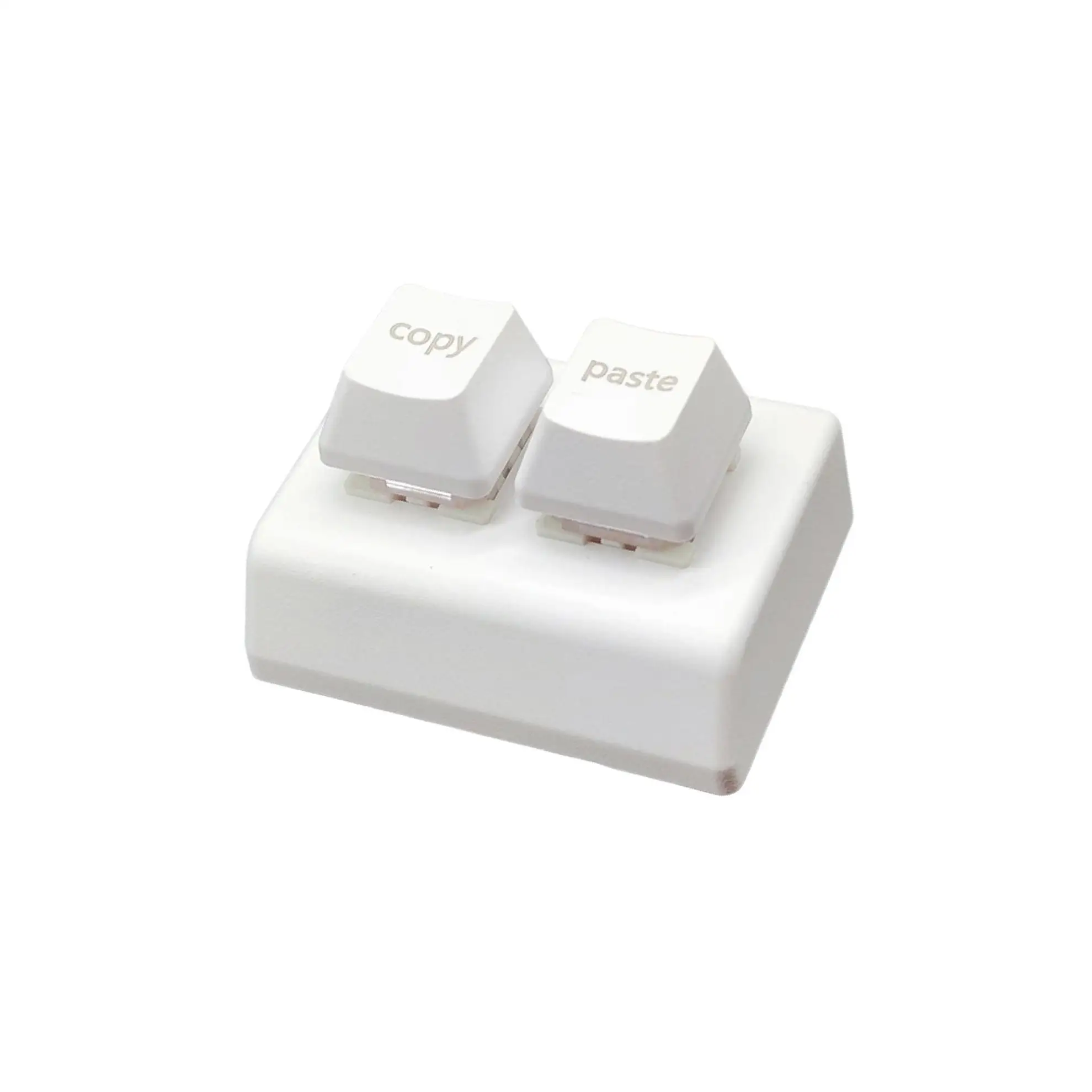 Copy and Paste 2 Key Keyboard Red Switches USB Mini 2 Key Keypad for Drawing