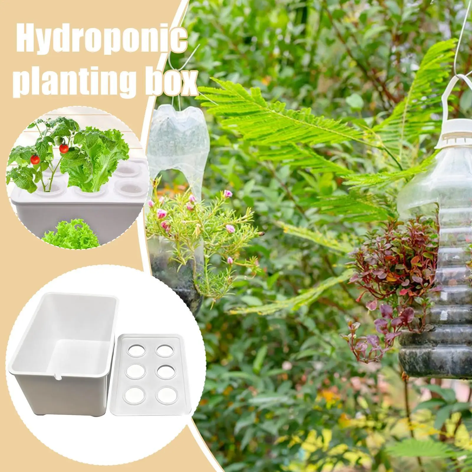 Hydroponic Seedling Box Beginners Cultivation Equipment Indoor Garden Hydroponics Planting Box For Lettuce Flowers Balcony