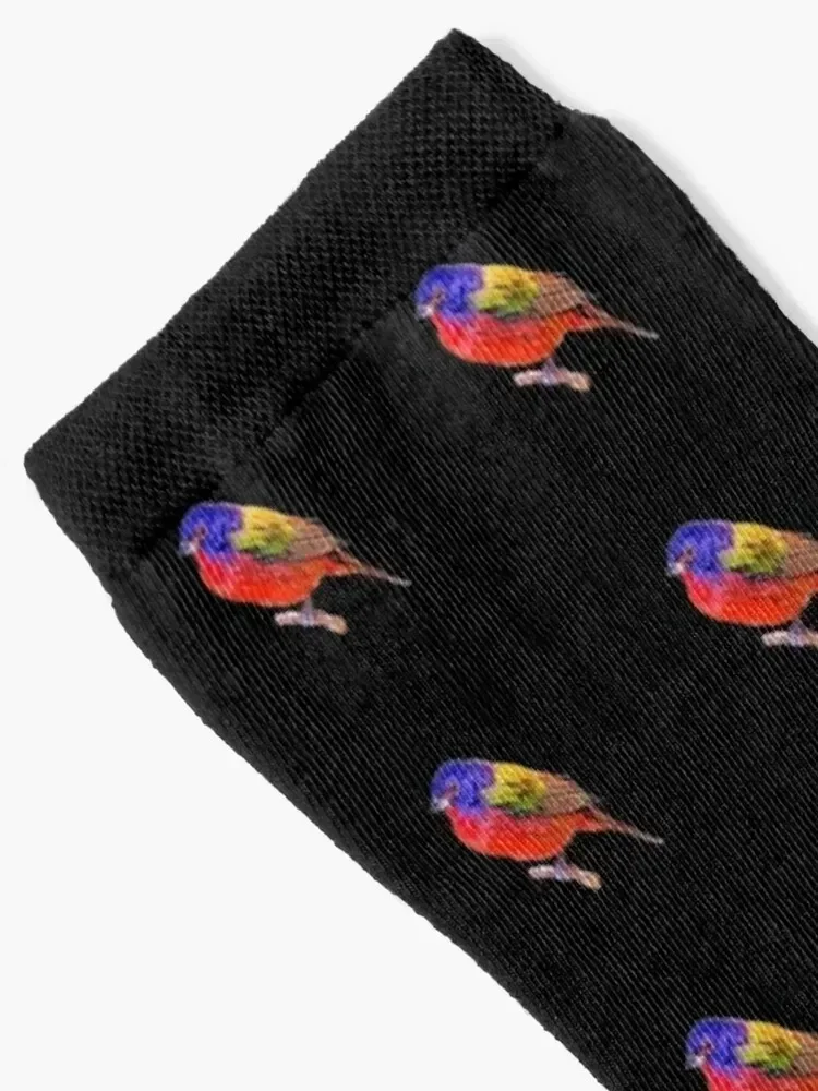 Male Painted Bunting Socks sport christmas stocking designer cool Men's Socks Luxury Women's