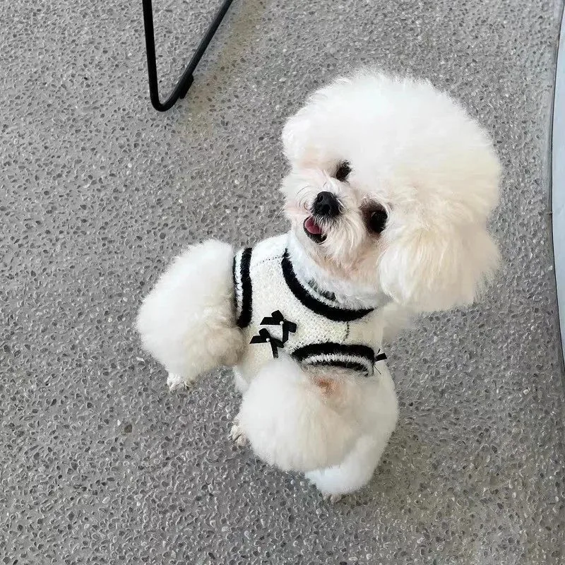 Suéter de Punto Bonito para Cachorros, Ropa Estilo Princesa para Mascotas, Suéter de Punto con Lazo para Perros Medianos y Pequeños, Suéter sin Mangas para Maltese