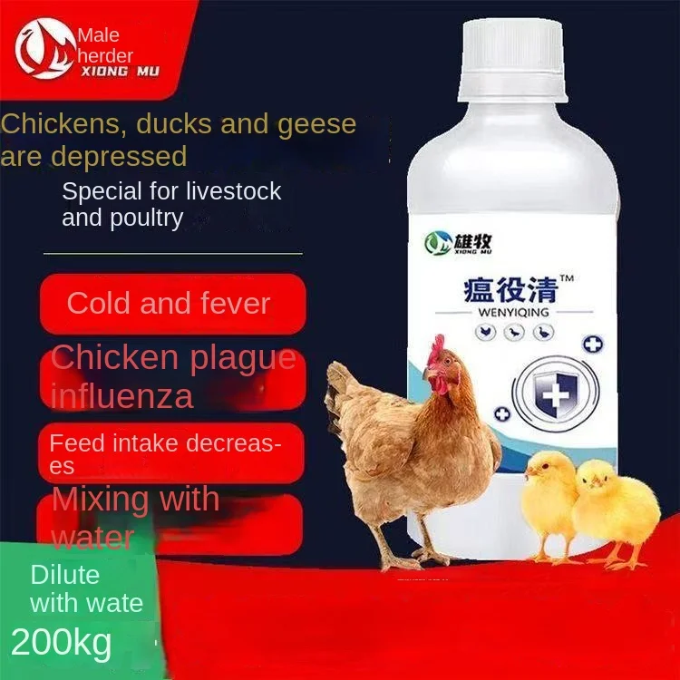 

Chicken, Duck, Goose, Mental Depression, Clearing Heat, Influenza Prevention, Chicken Plague, Cold Cough, Snoring, Animal Use
