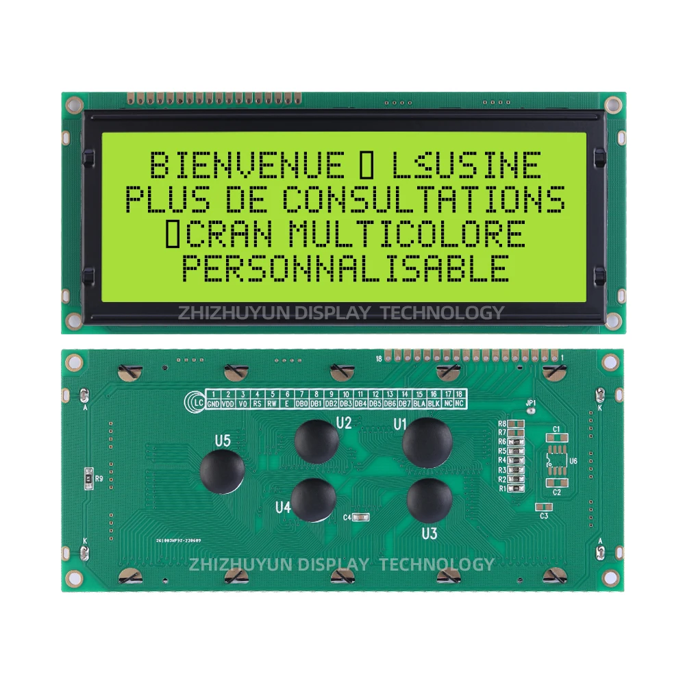 Módulo do LCD com filme cinzento e texto preto, módulo do caráter 20X4, exportação para Europa e América, 2004C-3, 146*62.5mm