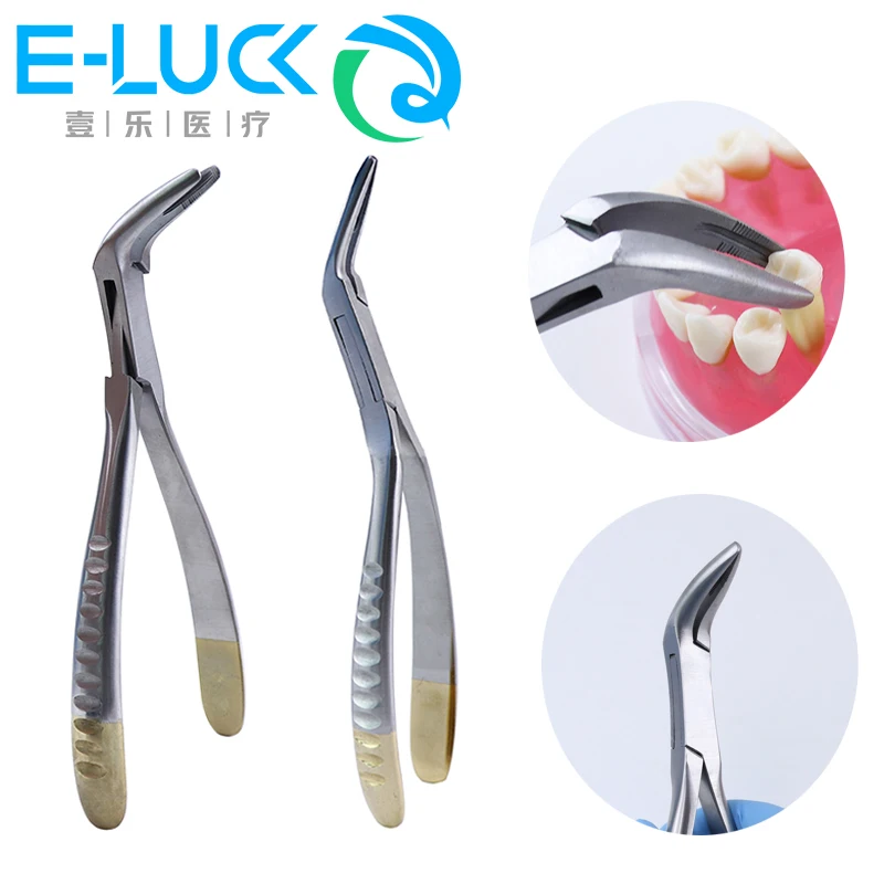 1PC Dental Root Tweezers Tooth Extraction Forceps Stainless Steel  Autoclavable Curved Maxillary Mandibular Teeth Instrument