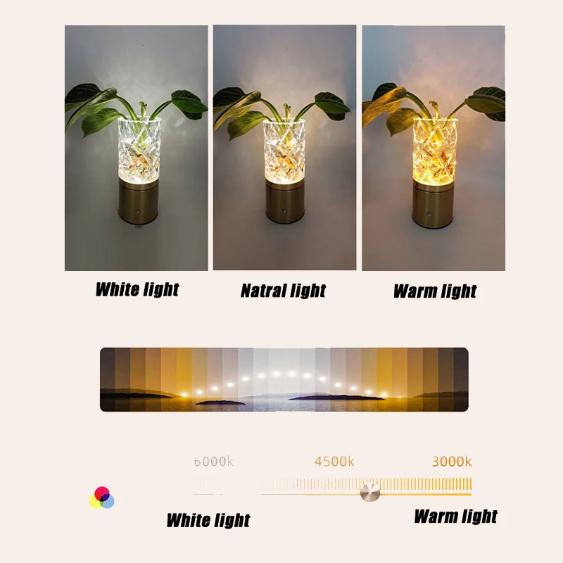 Vase Table Lamp LED Desk Decoration Light Home Decor Bonsai Lighting Flower Plant Acrylic Vase Waterproof for Room Decoration