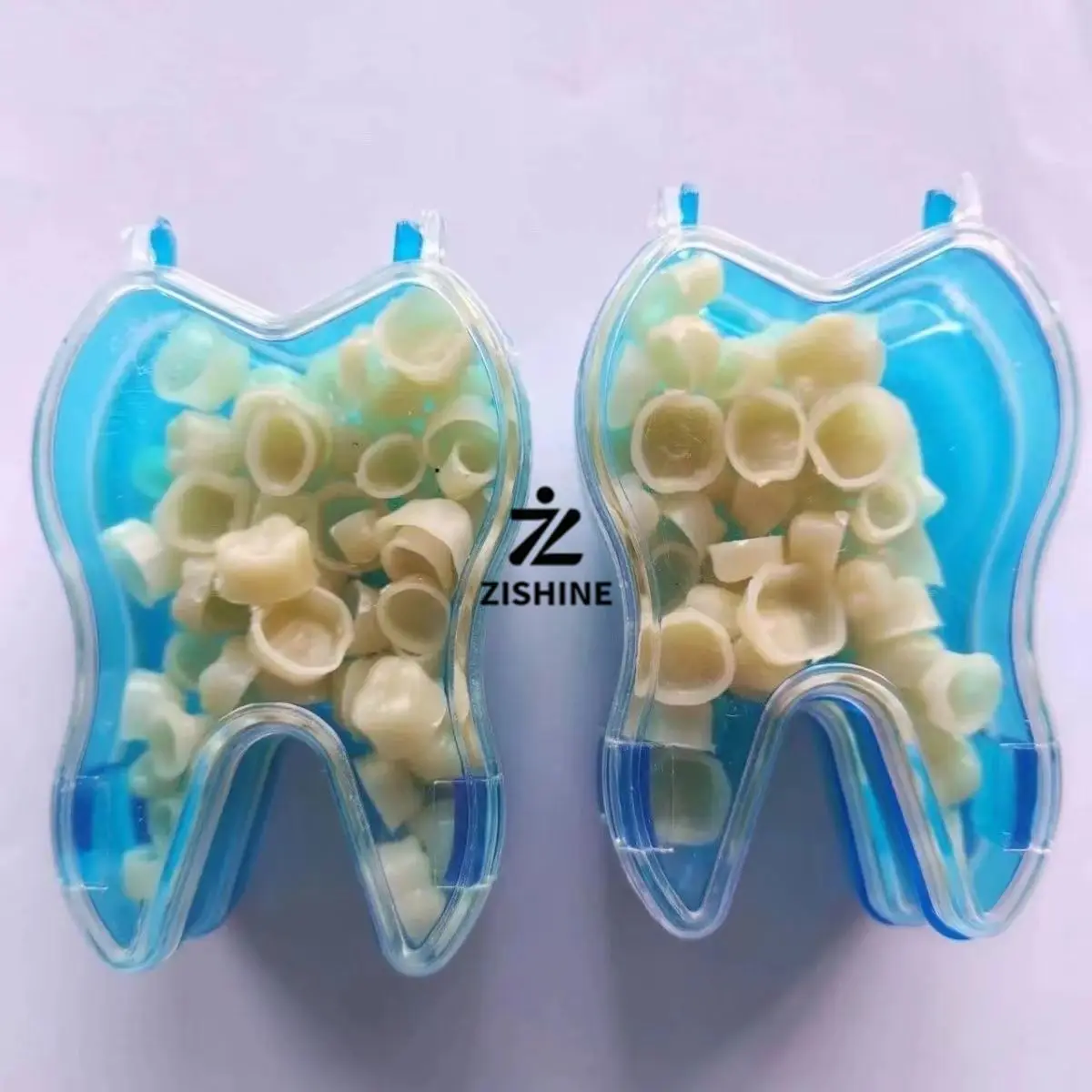 Dental Materials Temporary Dental Crowns Porcelain-fused-to-metal (PFM) Restorations Dental Veneers Anterior and Posterior Teeth