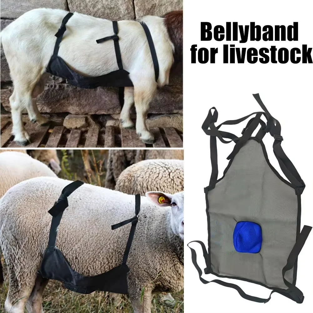 Goat Anti Mating Apron Breeding Control Belt for Sheep Cattle Horses | Livestock Belly Wrap | Ram Guard Farm Animal Harness Tool