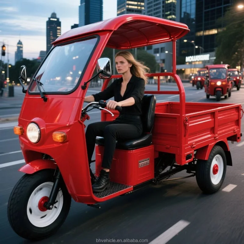 Fast Delivery Heavy Duty Electric Cargo Tricycle 800W EEC 400KG Load Carrying Capacity Load Open Type Electric 3 Wheel Tricycle