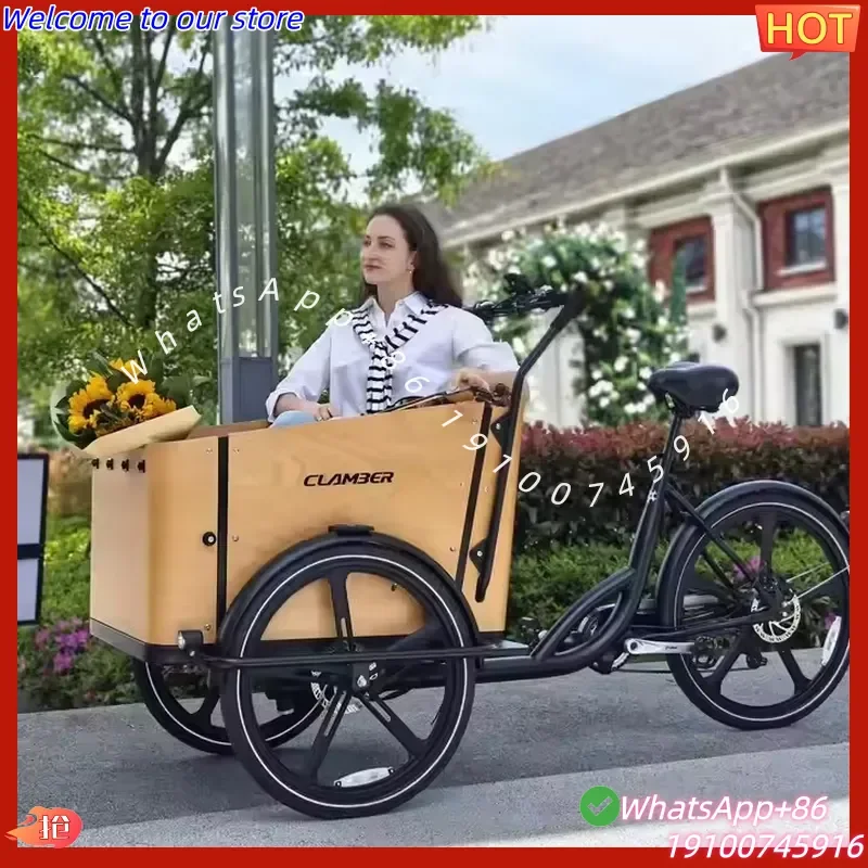 2026Hot Factory Price 8-Speeds Electric Cargo Bike 250W 3-Wheel Cargo Bike with 36V Battery Europe Stock