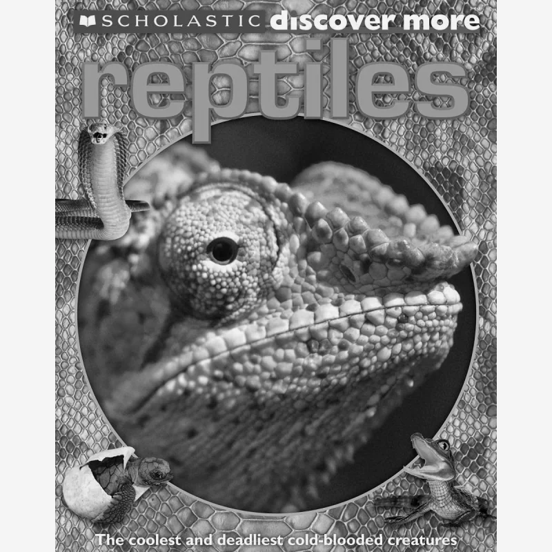 

Scholastic Discover More Gady Scholastic Scholastic Малайзия 9780545505093 Книга