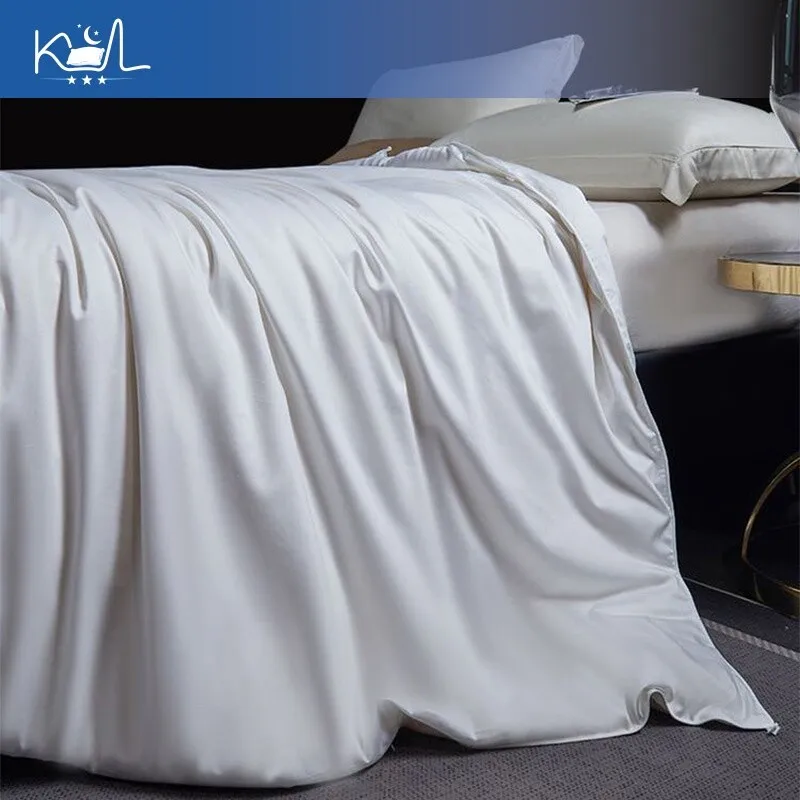 100% Pure Mulberry Silk Quilt, Lightweight Summer Cooling Blanket, All Season Fluffy Long Silk Comforter for Home