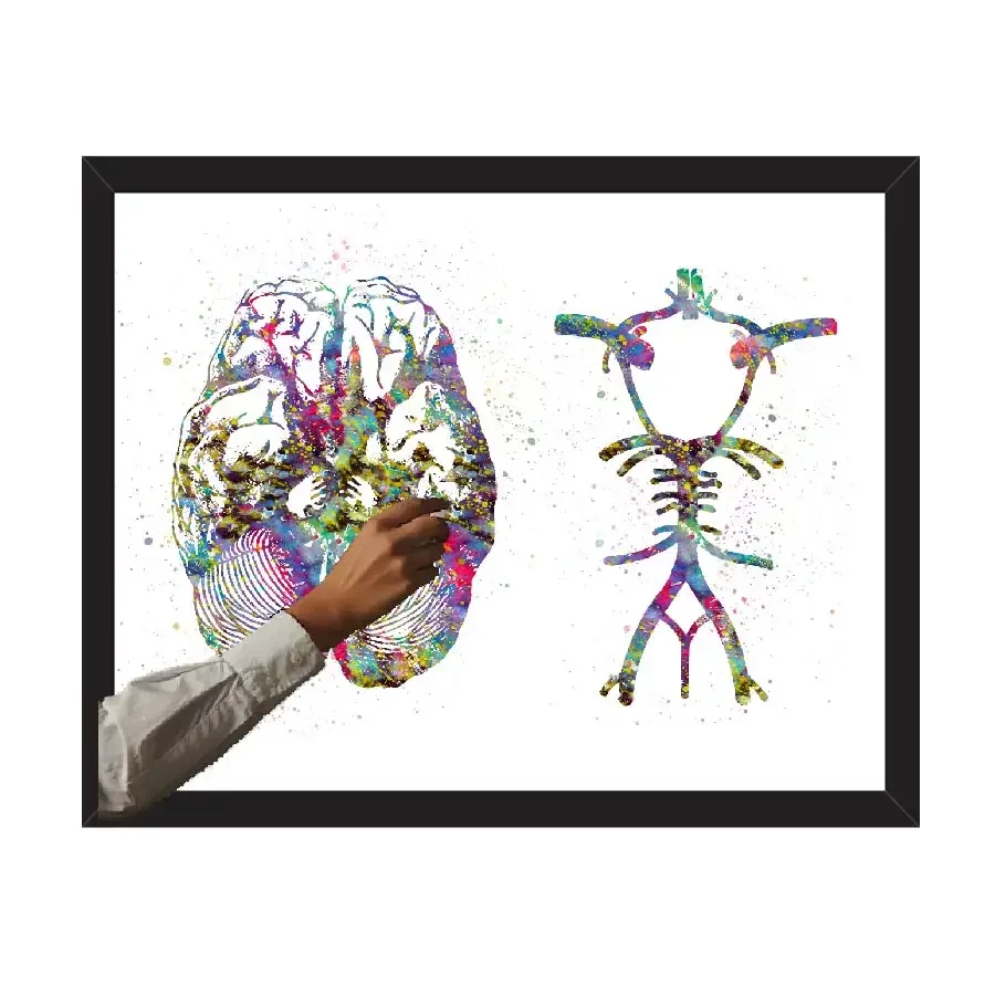 Watercolor Human Anatomy Poster Prints Canvas Painting Medical Circle of Willis Wall Art Pictures Doctor Clinic Home Room Decor