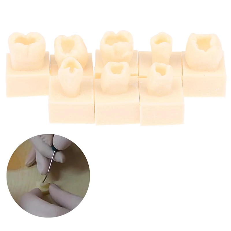 Modèle de test de formation dentaire pour étudiant postérieur, résine composite de pratique, dents de remplissage, mâchoire, équipement de dentiste, 8 pièces par kit