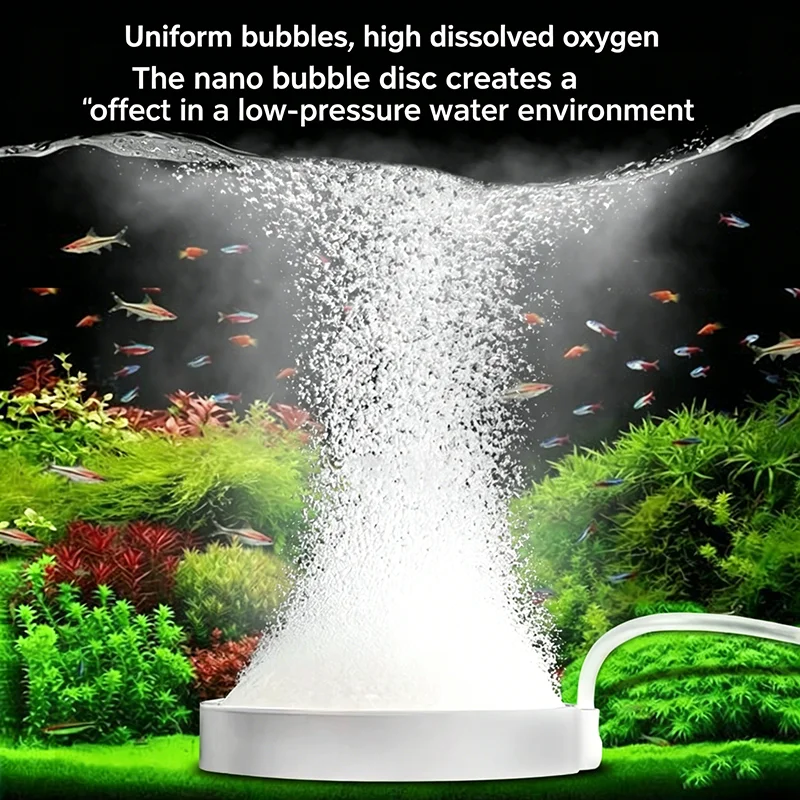 Nano Bubble Plate Ultra Fine A - Marine Aquarium Ozone Generator ulasan dan harga
