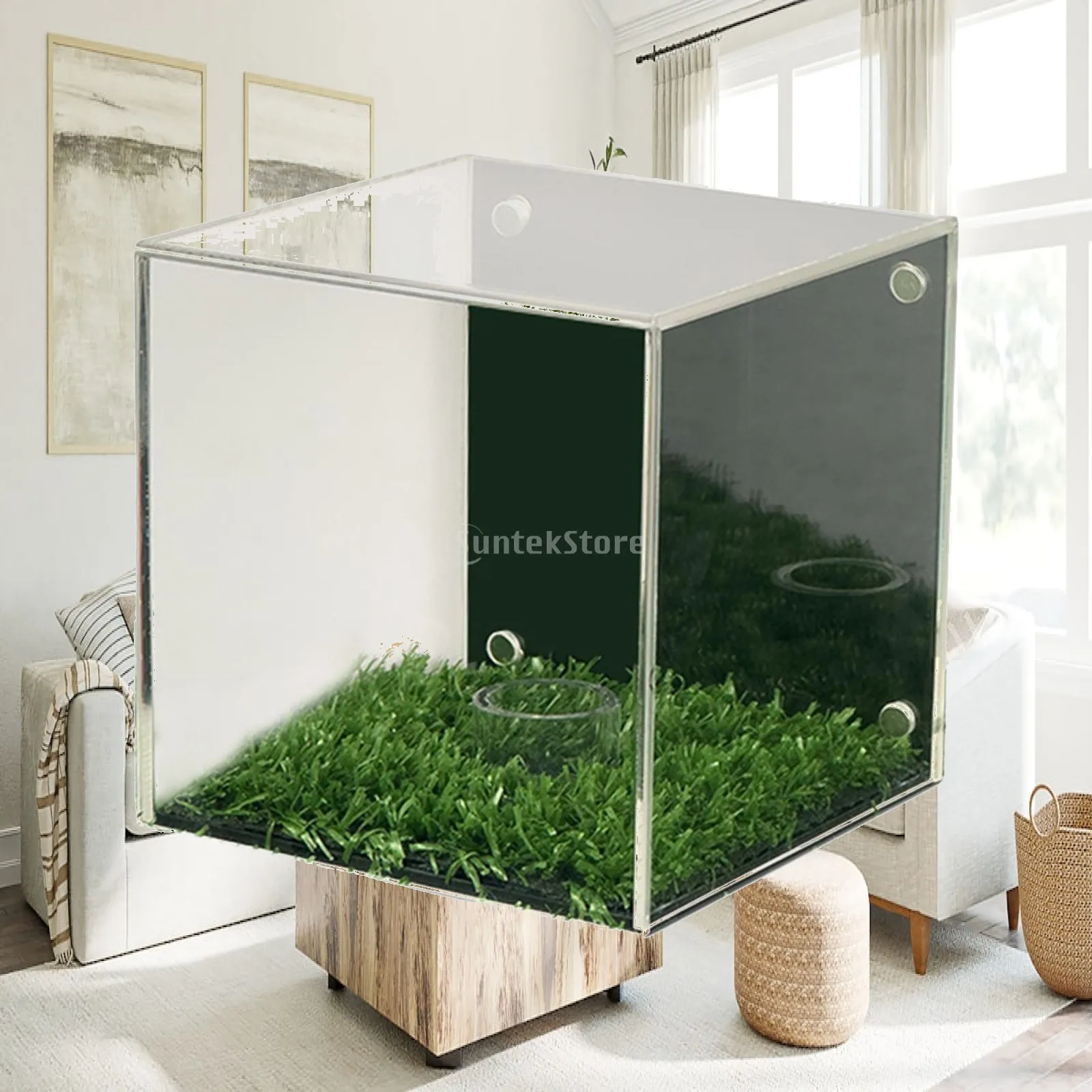 Acrylic Golf Ball Display Case with Magnetic Backing Clear Dustproof Transparent Holder for Baseball Souvenir Collection