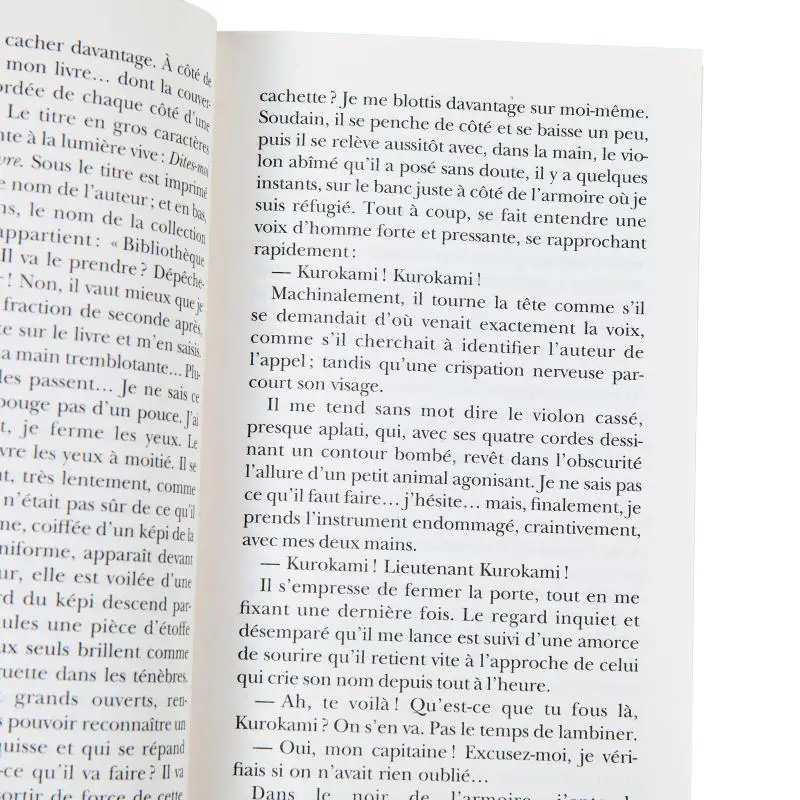 الروح المكسورة أكيرا ميزوبياشي جاليمارد 9782072921216 كتاب