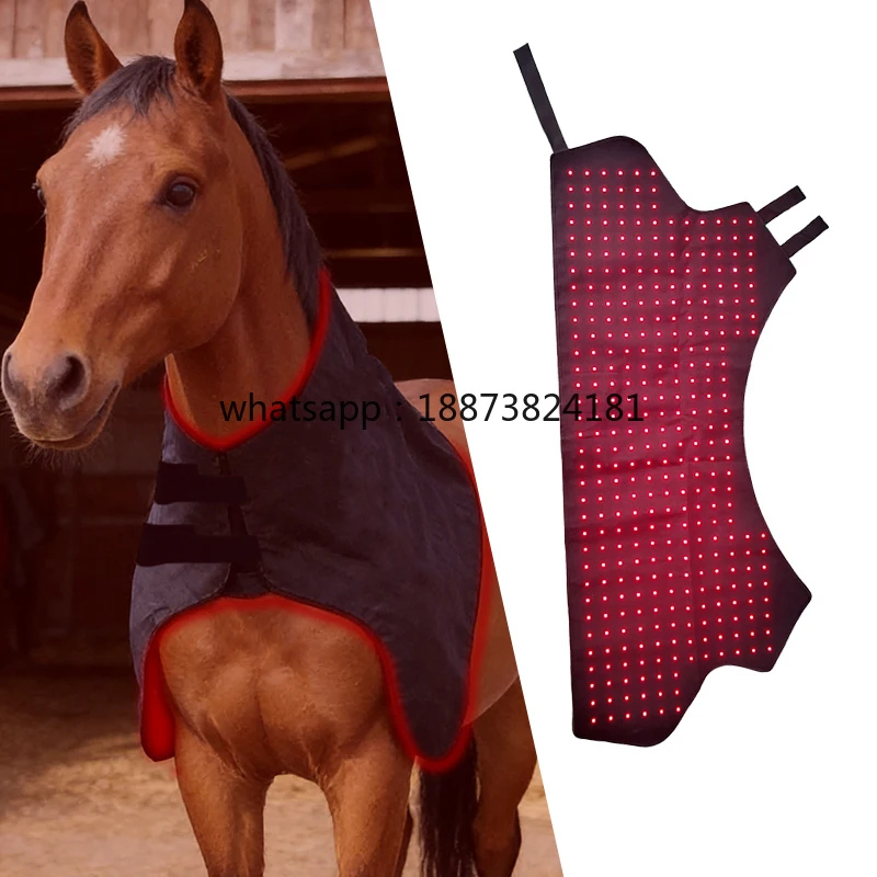 Veterinary Recommended Red Light Therapy Horse Blanket with 348 LEDs for Full Body Muscle Recovery fast shipping