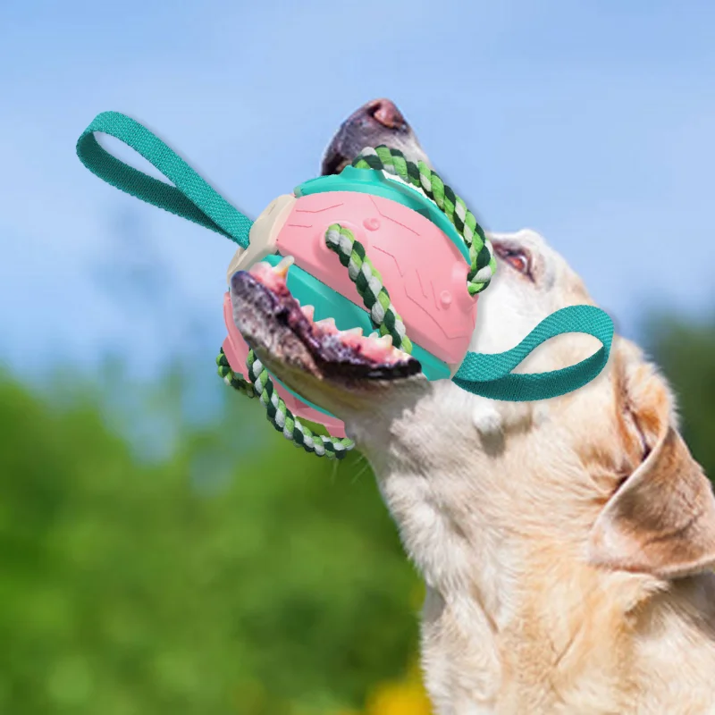 

Interactive Outdoor Training Soccer Dog Toy Bite-Resistant Teething Relief Artifact Pet Supplies Eco-Friendly Packaged in Carton