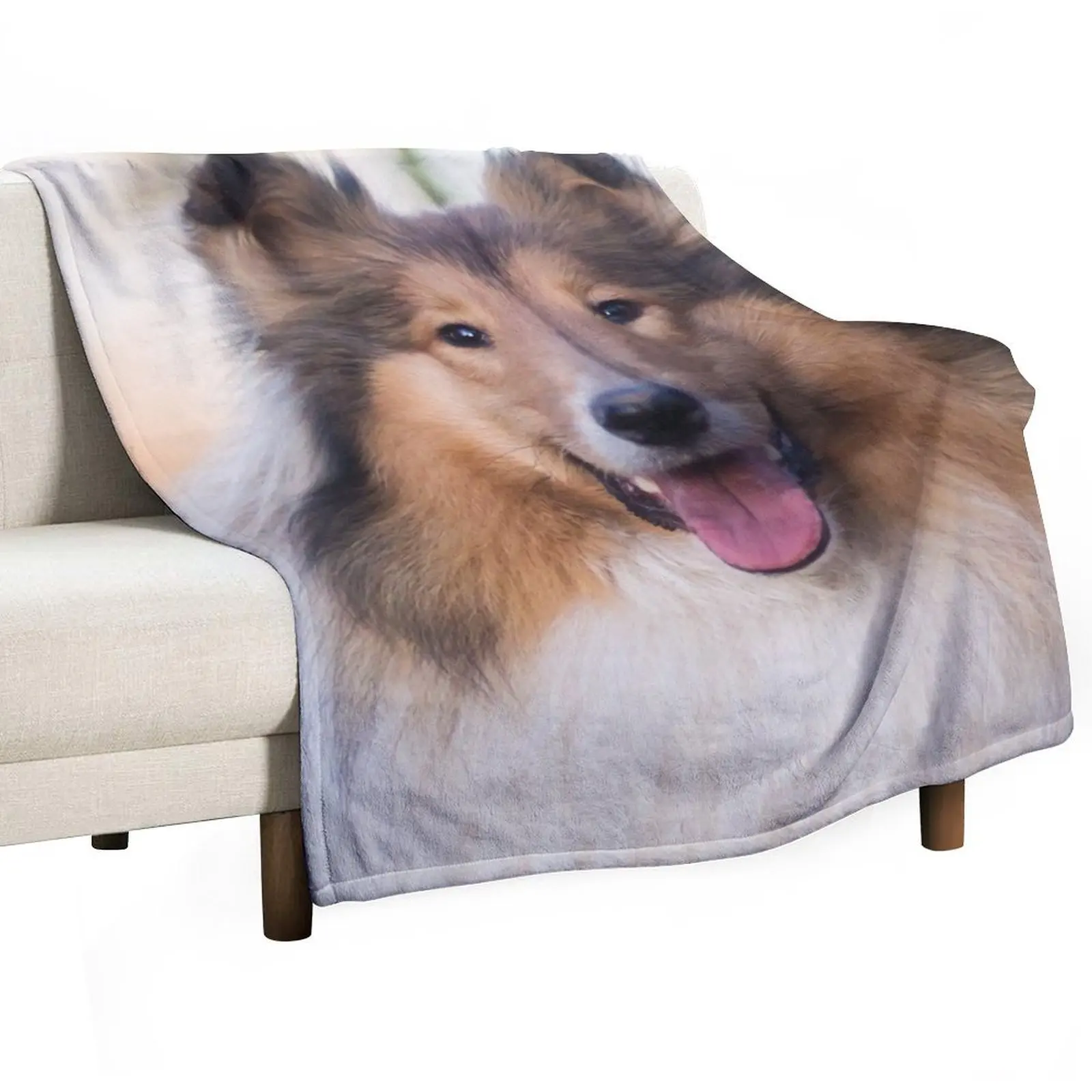 Rough Coated Collie Photo Throw Blanket Decorative Throw Plaid on the sofa cosplay anime Blankets