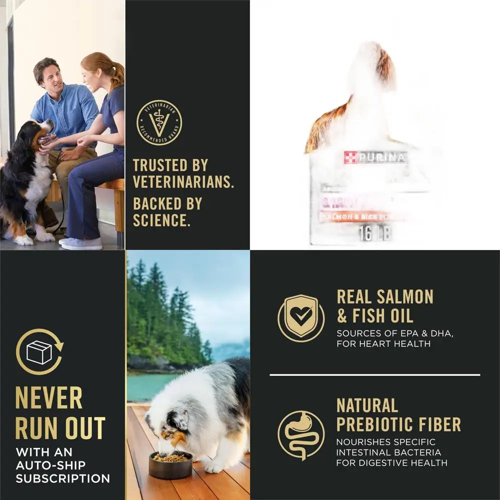 

Adult Dog Dry Food: Salmon & Rice for Sensitive Skin & Stomach, 16 lbs, Supports Digestive Health