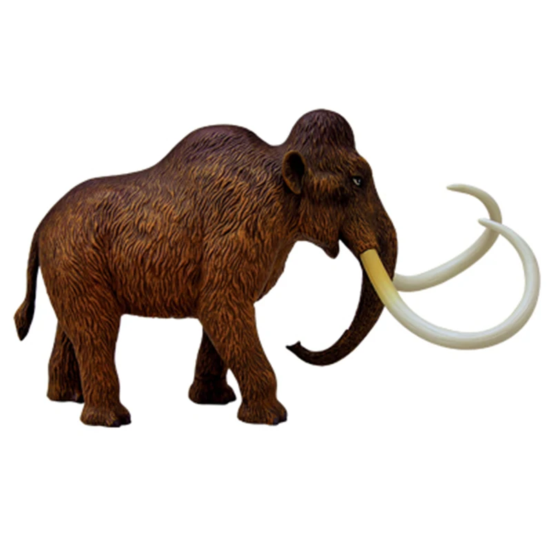 Mammoth 4d master puzzle montagem brinquedo animal biologia órgão anatômico modelo de ensino médico