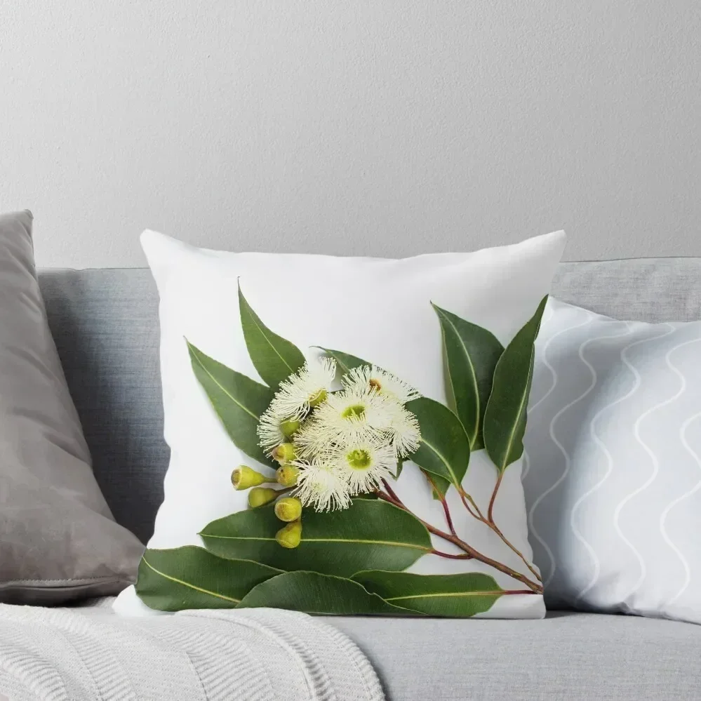 Eucalypt Marri flowers, Western Australia Throw Pillow Cushions Cover Throw Pillow Covers pillow