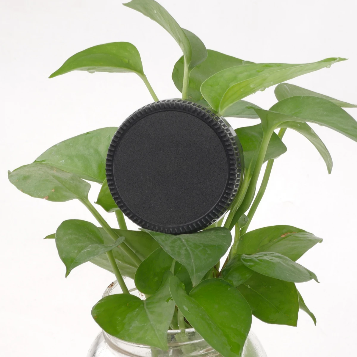 Cubierta protectora de tapa trasera de lente, 1 unidad, adecuada para lentes de cámara AF AFS DSLR SLR, accesorios de plástico a prueba de polvo