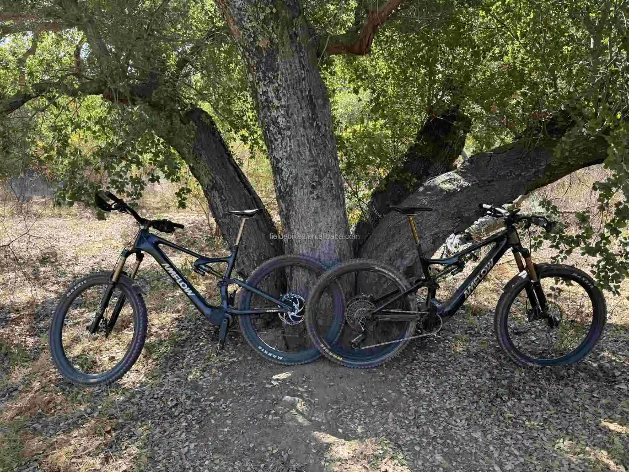 Amflow PL Carbon E-MTB 800Wh Integrated Battery Aviox Mid Drive System 508W Fast Charging 12-Speed