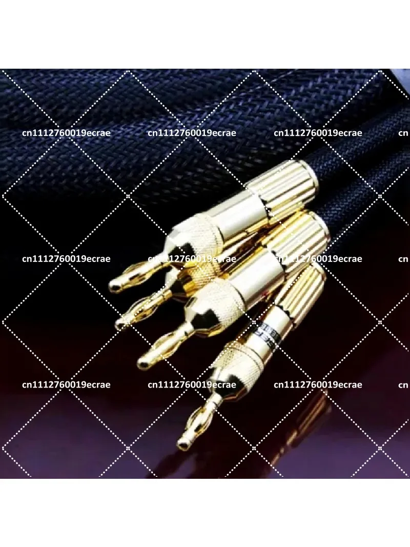 6N OCC Audiophile HIFI Speaker Cable 24K Gold-plated Banana Plug Top Level Speaker Cable 25MMx2.5M LA-5101