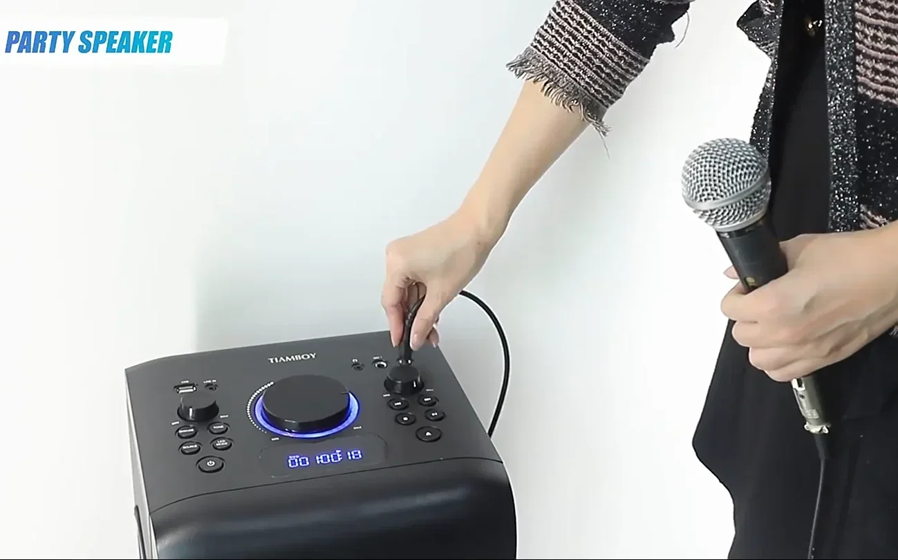 CD-CD-R-Player für den Heimgebrauch. Angetriebene Standturmlautsprecher