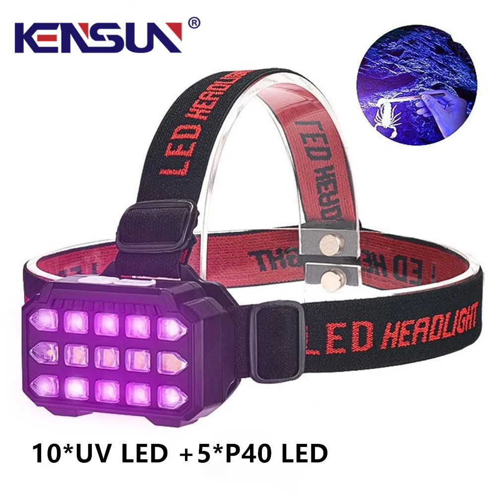 UV+White Light Dual-use LED Headlamp Fishing Headlight Uses 10*UV LED +5*P40 LED Used for Camping Catching Scorpionsetc