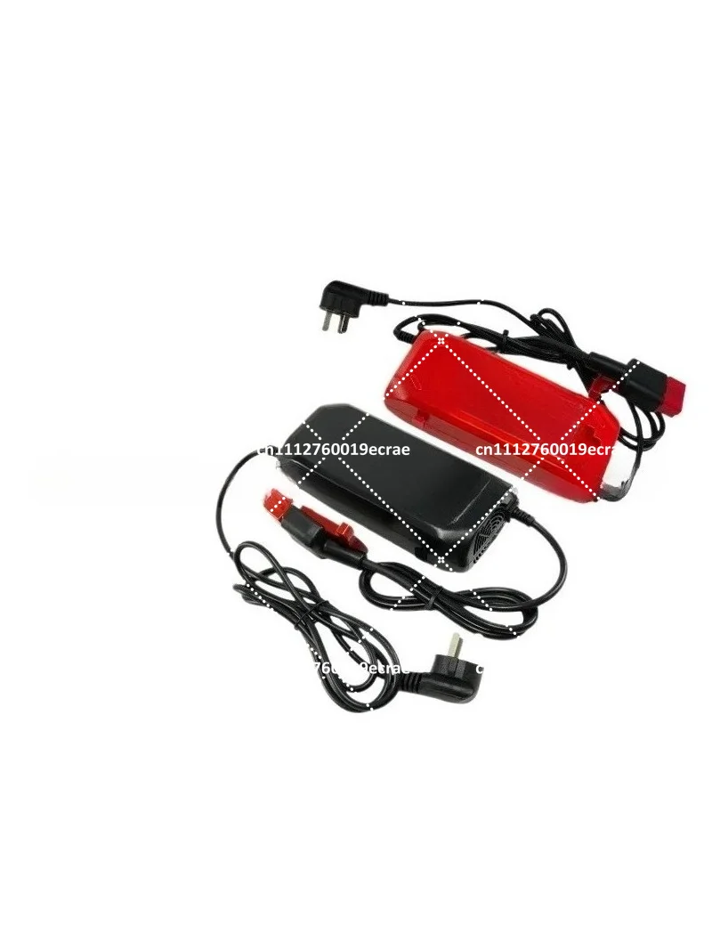 

F4 Lithium Battery Small Diamond Charger 24V 5A Forklift Charger Accessories