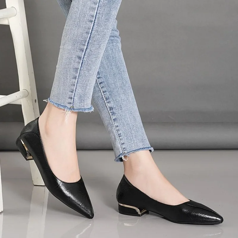 2026 Frühling und Herbst Neue Spitze Pumps für Damen mit Dickem Absatz und Flachem Schaft Professionelle Allround-Damenschuhe – Detail 8