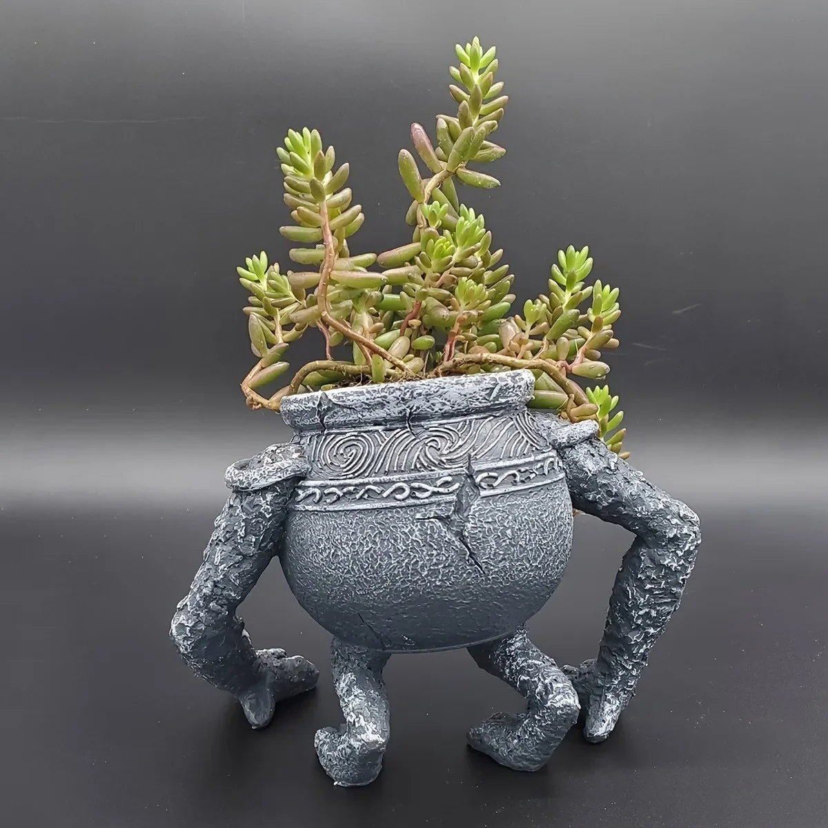 Poison King Ding Gardening Planting Patio Planter Decorative Eldon French Ring Perimeter Warrior Pot Alexander Jar Metal plant