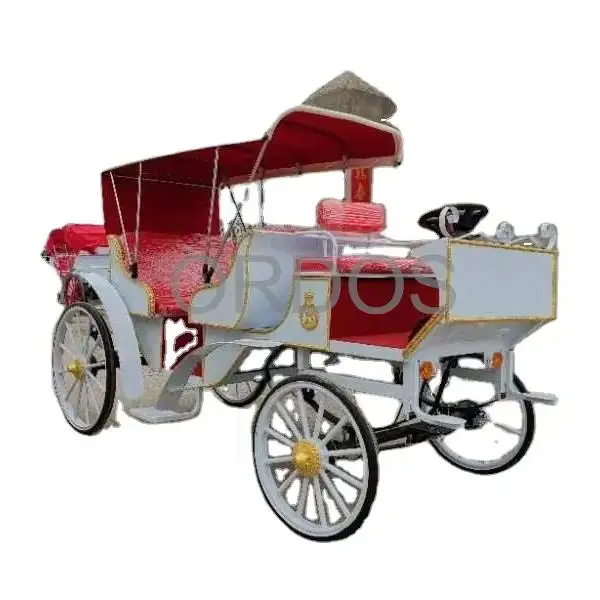 

2024 Horse carriage Electric vehicle Customized High quality Fangyu brand Royal carriage COC Hot selling