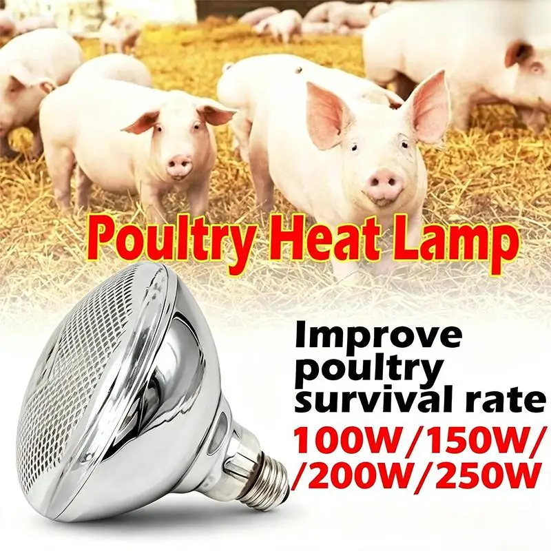 [100W/150W/200W/250W Infrared Heat Lamp Bulb For Animals Piglet Chicken Brooder Lamp]