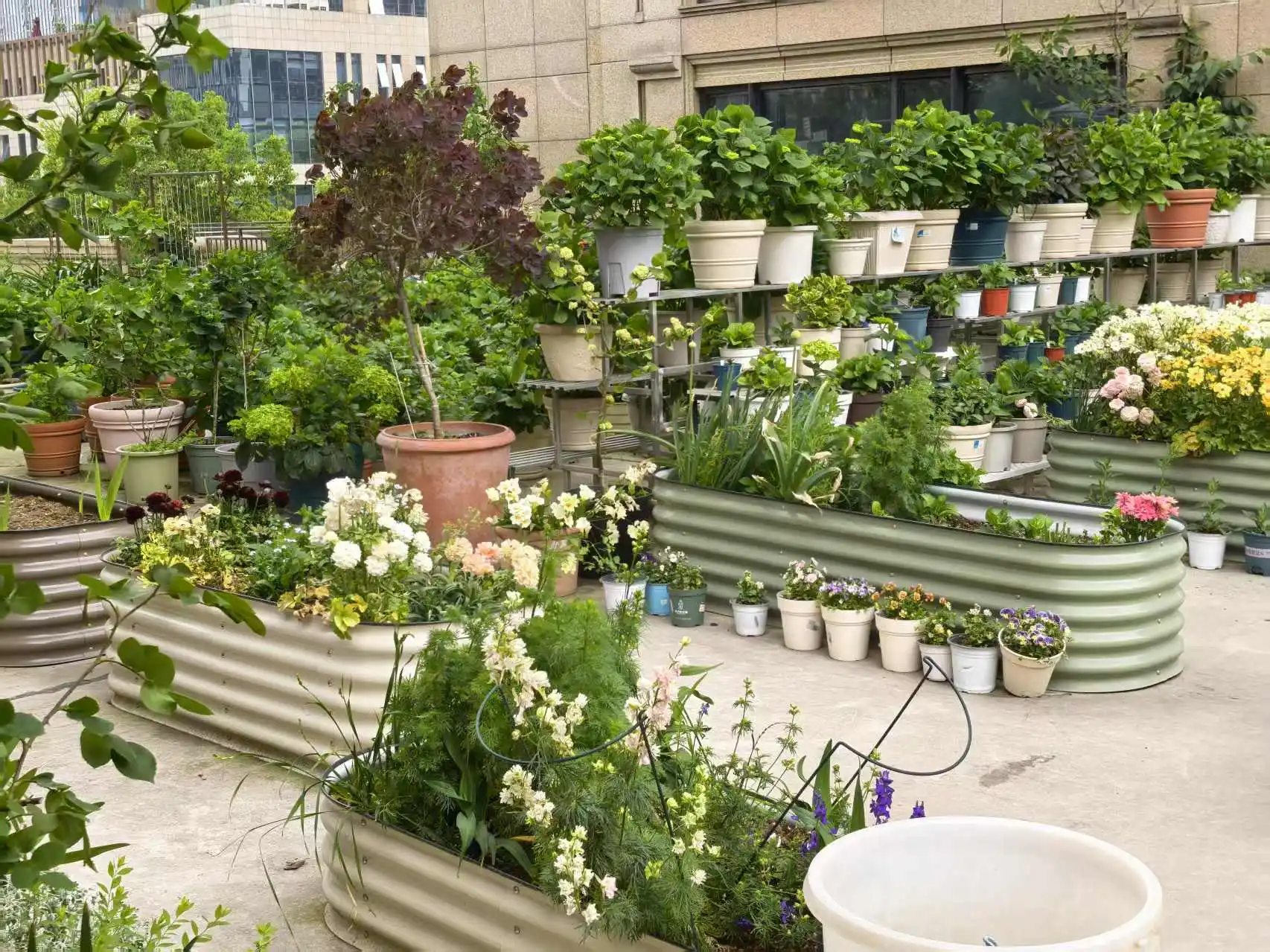 سرير حديقة مرتفع مجلفن في الهواء الطلق صندوق زراعة معدني من الفولاذ المرتفع للخضروات ذات الجذور العميقة والزهور طقم سرير مرتفع كبير