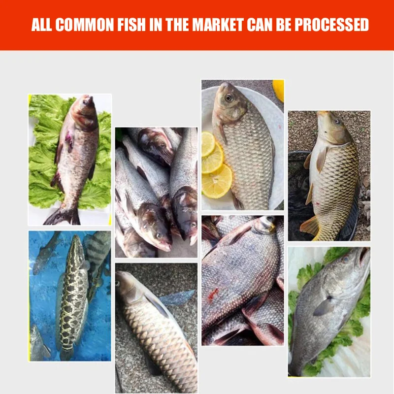 Mesin Penghilang Sisik Ikan Komersial Mesin Pengolah Ikan Kecepatan Cepat Mesin Penghilang Sisik Ikan Otomatis Penuh