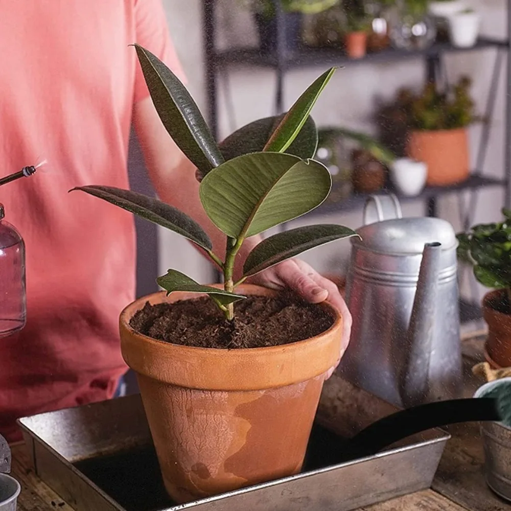 

Дышащий капиллярный коврик для полива, экологически чистый многоразовый автоматический коврик для полива растений с 10 бирками для растений, удержание воды