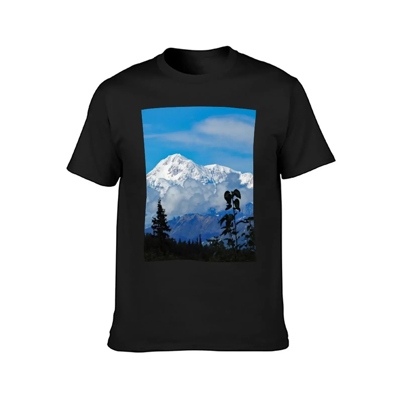 Denali 71 T-Shirt cute tops graphic shirts mens cotton t shirts