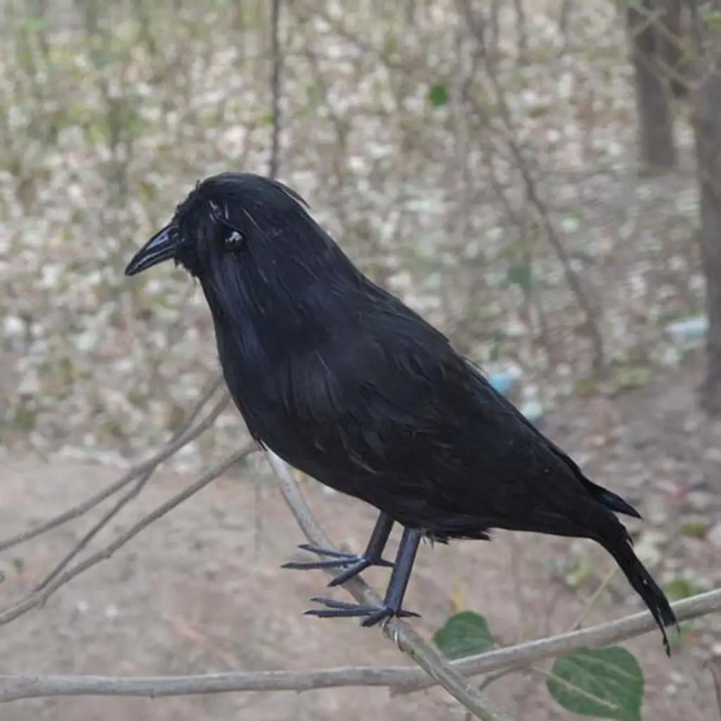 Halloween Ravens Props Black Feathered Small Crows Realistic Birds Set for Fall Halloween Decorations
