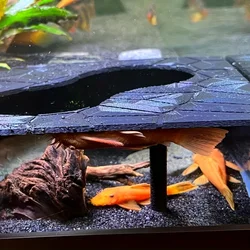 Aquarium Natural Corner Cave: Fish Body/Hidden and Observation Window Underground Corner Cave - Aquatic Pet Breeding, Gaming, an