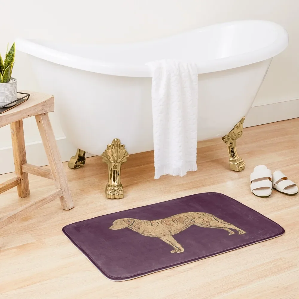 

Chesapeake Bay Retriever colorful silhouette Bath Mat Bathroom Shower Curtain Entrance Carpet Showers Mat