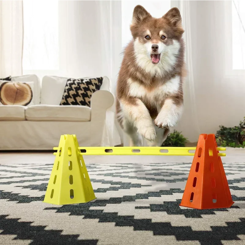 Pet Agility Training Set 3