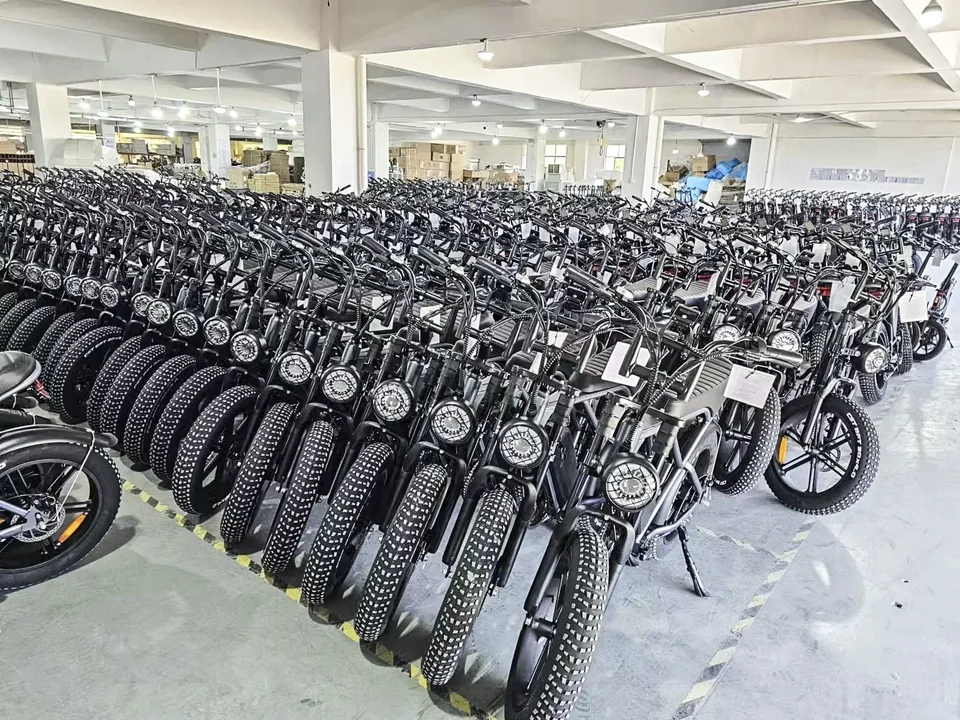 Adult Electric Bike C93 2000W Motor 48V23Ah Battery Dual Hydraulic Break E-Bike Max Speed 55km/h Aluminum Alloy Electric Bicycle image 10