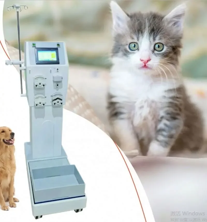 Instrumento veterinário Máquina Hemo Máquina Instrumento analítico Hemo Reno