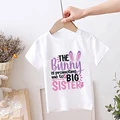 TK483879-KSTWH