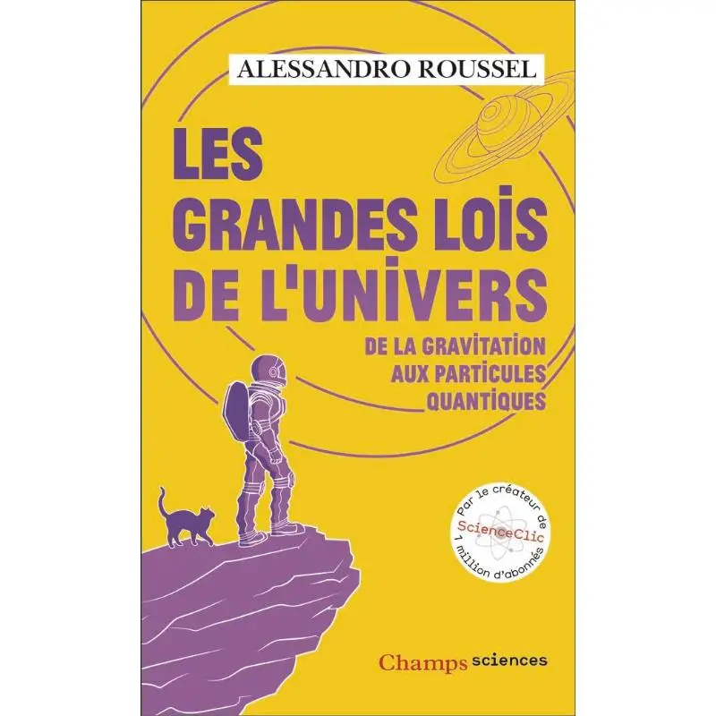 كتاب Les Grandes Lois De LUnivers De La Gravitation Aux Particules Quantiques Alessandro Roussel Flammarion 9782080444271 #1